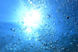 横浜のダイビングはAQUA PRISM