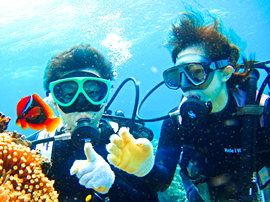 石垣島のファンシーダイビング